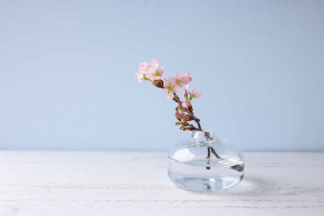 花瓶の桜